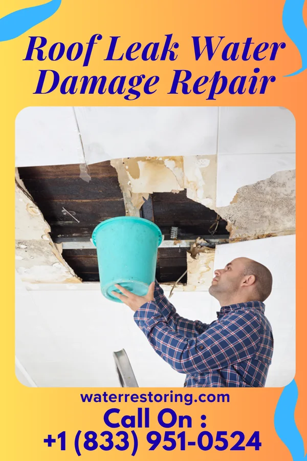 Roof Leak Water Damage Repair in Lockett, TX