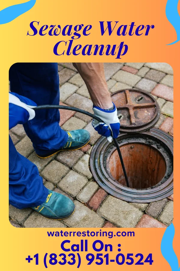 Sewage Water Cleanup in Lockett, TX